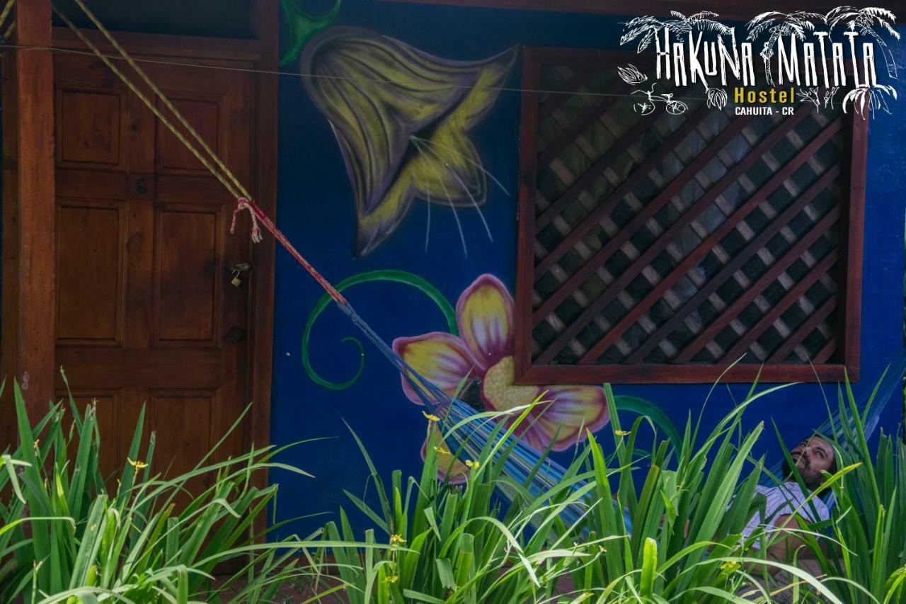 Hakuna Matata Hostel Кауита Экстерьер фото